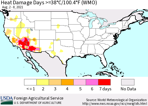 United States Heat Damage Days >=38°C/100.4°F (WMO) Thematic Map For 8/2/2021 - 8/8/2021