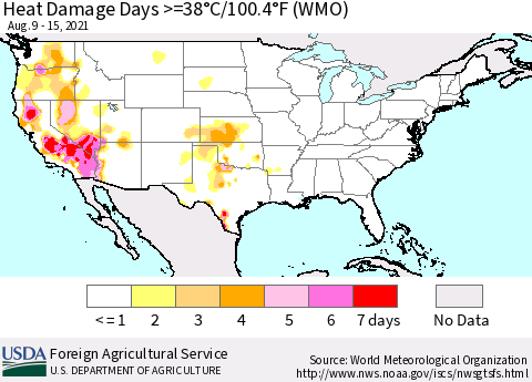 United States Heat Damage Days >=38°C/100°F (WMO) Thematic Map For 8/9/2021 - 8/15/2021
