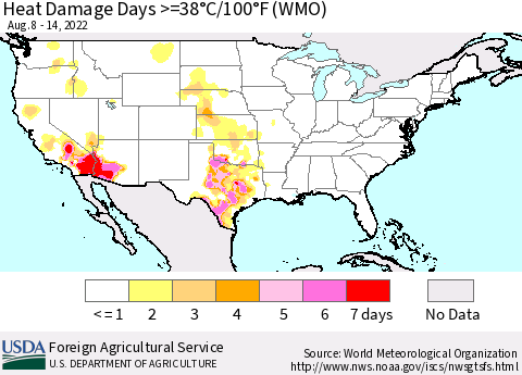 United States Heat Damage Days >=38°C/100°F (WMO) Thematic Map For 8/8/2022 - 8/14/2022