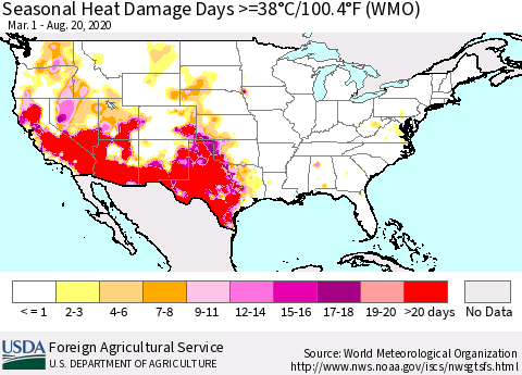 United States Seasonal Heat Damage Days >=38°C/100.4°F (WMO) Thematic Map For 3/1/2020 - 8/20/2020