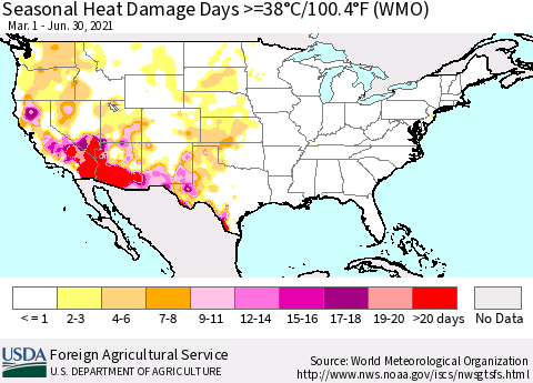 United States Seasonal Heat Damage Days >=38°C/100°F (WMO) Thematic Map For 3/1/2021 - 6/30/2021