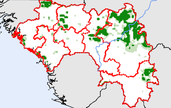 Guinea
