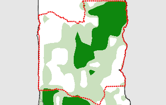 Collines