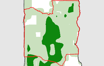 Collines
