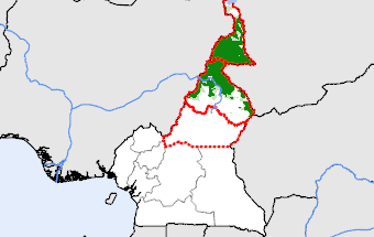 Cameroon