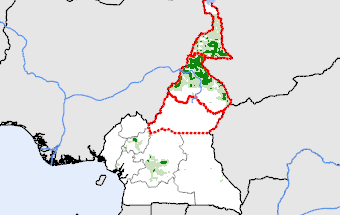 Cameroon