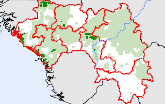 Guinea