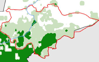 Mopti