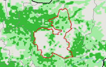 Bauchi