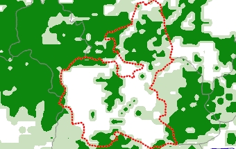 Bauchi
