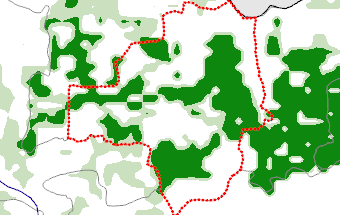 Zamfara