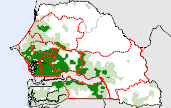 Senegal