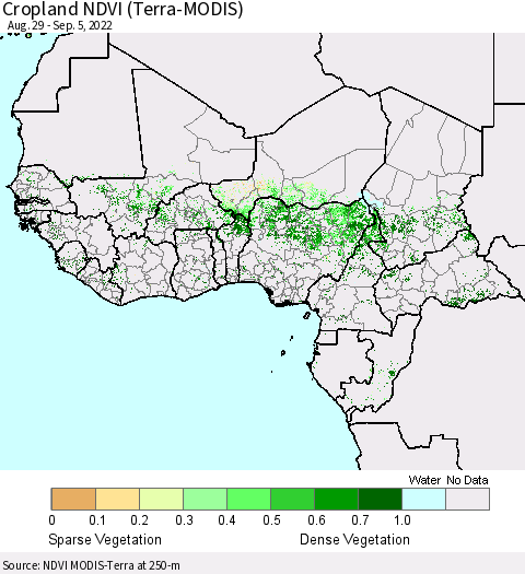Western Africa Cropland NDVI (Terra-MODIS) Thematic Map For 8/29/2022 - 9/5/2022