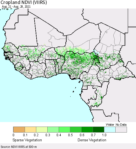 Western Africa Cropland NDVI (VIIRS) Thematic Map For 8/21/2021 - 8/28/2021