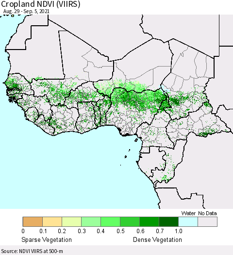 Western Africa Cropland NDVI (VIIRS) Thematic Map For 8/29/2021 - 9/5/2021
