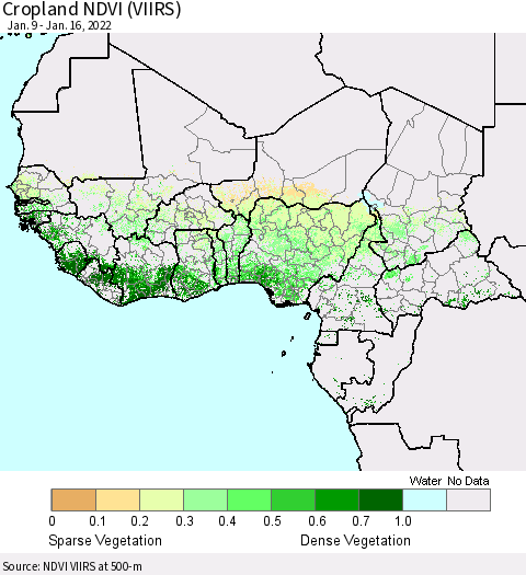 Western Africa Cropland NDVI (VIIRS) Thematic Map For 1/9/2022 - 1/16/2022