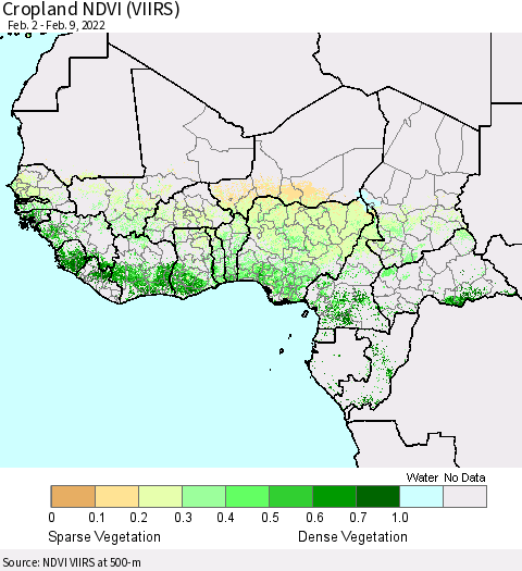 Western Africa Cropland NDVI (VIIRS) Thematic Map For 2/2/2022 - 2/9/2022