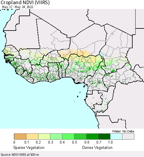 Western Africa Cropland NDVI (VIIRS) Thematic Map For 5/17/2022 - 5/24/2022