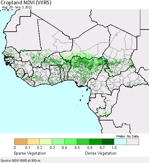 Western Africa Cropland NDVI (VIIRS) Thematic Map For 8/29/2022 - 9/5/2022