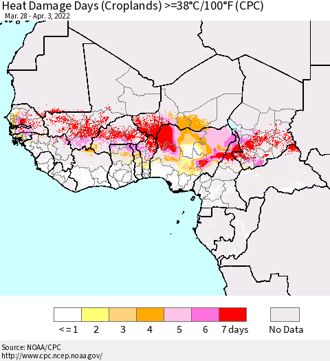 Western Africa Heat Damage Days (Croplands) >=38°C/100°F (CPC) Thematic Map For 3/28/2022 - 4/3/2022