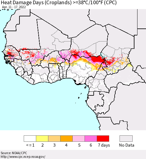 Western Africa Heat Damage Days (Croplands) >=38°C/100°F (CPC) Thematic Map For 4/11/2022 - 4/17/2022