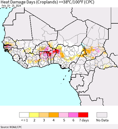 Western Africa Heat Damage Days (Croplands) >=38°C/100°F (CPC) Thematic Map For 2/19/2024 - 2/25/2024