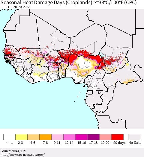 Western Africa Seasonal Heat Damage Days (Croplands) >=38°C/100°F (CPC) Thematic Map For 7/1/2021 - 2/20/2022