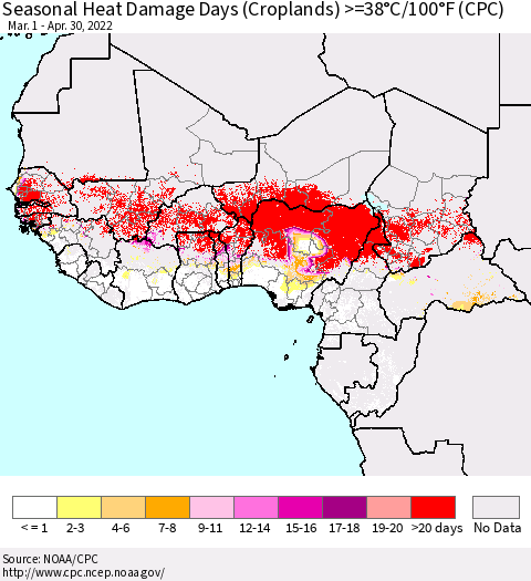 Western Africa Seasonal Heat Damage Days (Croplands) >=38°C/100°F (CPC) Thematic Map For 3/1/2022 - 4/30/2022