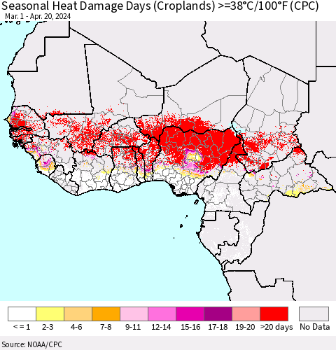 Western Africa Seasonal Heat Damage Days (Croplands) >=38°C/100°F (CPC) Thematic Map For 3/1/2024 - 4/20/2024
