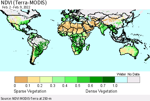 World NDVI (Terra-MODIS) Thematic Map For 2/2/2022 - 2/9/2022