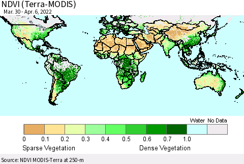 World NDVI (Terra-MODIS) Thematic Map For 3/30/2022 - 4/6/2022