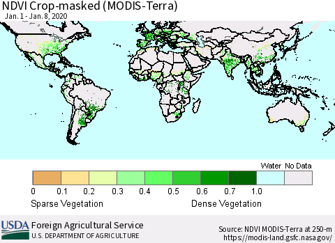 World Cropland NDVI (Terra-MODIS) Thematic Map For 1/1/2020 - 1/10/2020