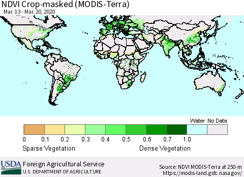 World Cropland NDVI (Terra-MODIS) Thematic Map For 3/11/2020 - 3/20/2020
