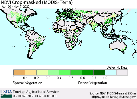 World Cropland NDVI (Terra-MODIS) Thematic Map For 5/1/2020 - 5/10/2020