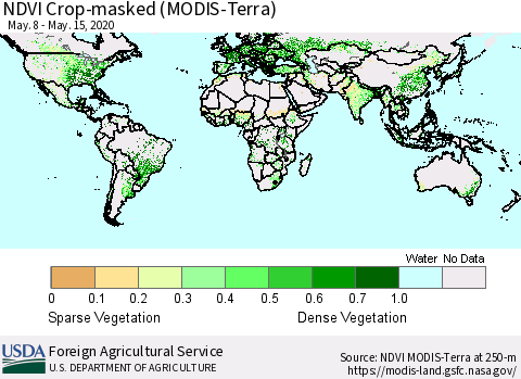 World Cropland NDVI (Terra-MODIS) Thematic Map For 5/11/2020 - 5/20/2020