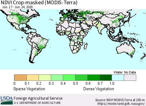 World Cropland NDVI (Terra-MODIS) Thematic Map For 6/21/2020 - 6/30/2020