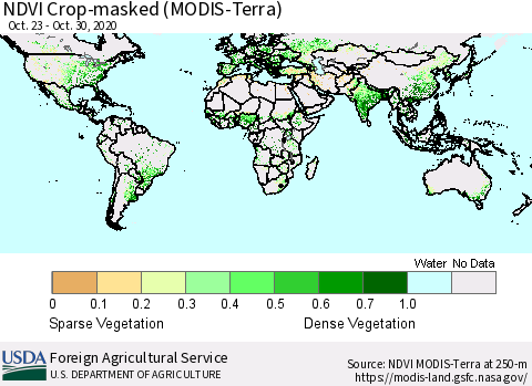 World Cropland NDVI (Terra-MODIS) Thematic Map For 10/21/2020 - 10/31/2020