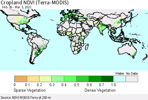 World Cropland NDVI (Terra-MODIS) Thematic Map For 2/26/2021 - 3/5/2021
