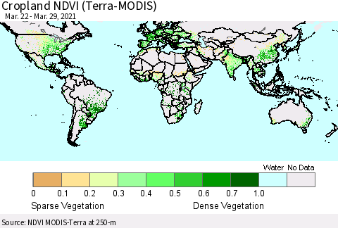 World Cropland NDVI (Terra-MODIS) Thematic Map For 3/22/2021 - 3/29/2021
