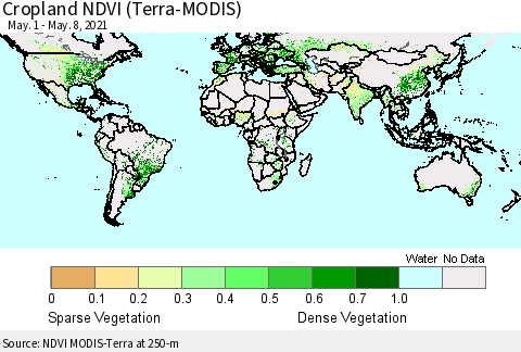 World Cropland NDVI (Terra-MODIS) Thematic Map For 5/1/2021 - 5/8/2021