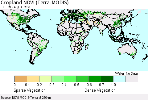 World Cropland NDVI (Terra-MODIS) Thematic Map For 7/28/2021 - 8/4/2021