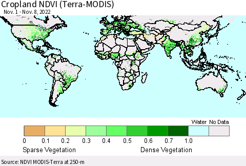 World Cropland NDVI (Terra-MODIS) Thematic Map For 11/1/2022 - 11/8/2022