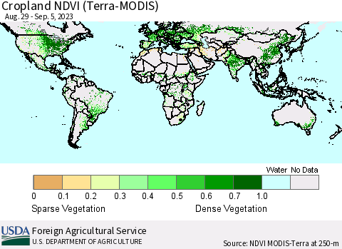 World Cropland NDVI (Terra-MODIS) Thematic Map For 9/1/2023 - 9/10/2023