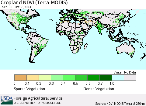 World Cropland NDVI (Terra-MODIS) Thematic Map For 10/1/2023 - 10/10/2023