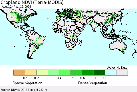 World Cropland NDVI (Terra-MODIS) Thematic Map For 8/12/2024 - 8/19/2024