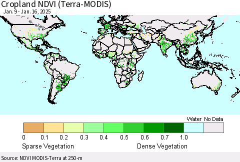 World Cropland NDVI (Terra-MODIS) Thematic Map For 1/9/2025 - 1/16/2025