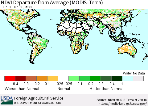 World NDVI Departure from Average (Terra-MODIS) Thematic Map For 6/11/2020 - 6/20/2020