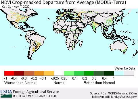 World Cropland NDVI Departure from Average (Terra-MODIS) Thematic Map For 11/1/2020 - 11/10/2020