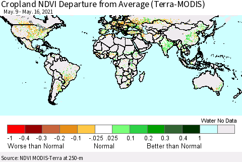 World Cropland NDVI Departure from Average (Terra-MODIS) Thematic Map For 5/9/2021 - 5/16/2021
