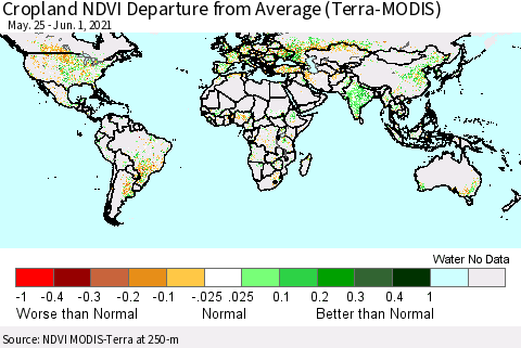 World Cropland NDVI Departure from Average (Terra-MODIS) Thematic Map For 5/25/2021 - 6/1/2021